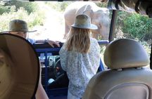 Wildlife Safari Yala National park 