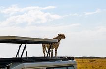 3-Day Private Camping Safari in Serengeti and Ngorongoro Crater 