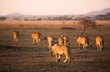 3-Day Private Camping Safari in Serengeti and Ngorongoro Crater 