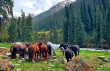 4 Days Issyk Kul & Chon Kemin with Nomadic Stay, Horse riding