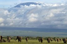 7-Day Private Tour in Kenya National Parks From Nairobi / Mombasa