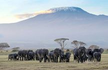 7-Day Private Tour in Kenya National Parks From Nairobi / Mombasa