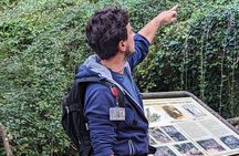  Tomb Hunting and Trekking Adventure in Sovana