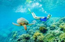Snorkeling Trip to Daymaniyat Islands from AlMouj Marina