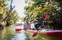 Half-Day Trip from Key West with Kayaking, Snorkeling & Sunset 