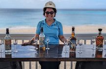Stade's and Planteray Rum Tasting and Beach Experience