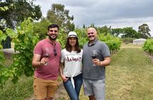 Private one-day visit to 2 Wineries in Carmelo