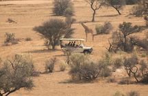 Game drive in Victoria Falls National Park