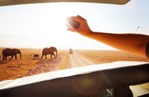 5 Days Tanzania Private Camping Safari Experience