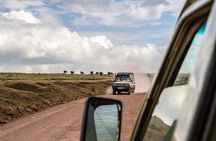 5 Days Tanzania Private Camping Safari Experience