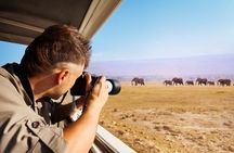 5 Days Tanzania Private Camping Safari Experience