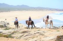 Combo Adventure with Horse, ATV or RZR and Tequila Tasting