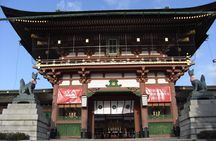 Kyoto Highlights Full Day Private Guided Tour from Tokyo