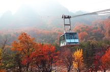 Full-Day Tour in Mt. Seorak & Nami (+Rail Bike Option)