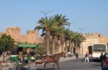 Agadir Morocco: Day Trip To Taroudant & Tiout Oasis with Lunch