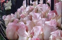 Full-Day Private Tour Papallacta Hot Springs and Roses Farm 