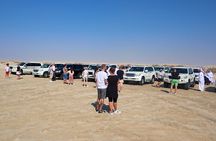 Half Day Desert Tour with 1 Hour Camel Ride