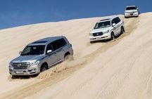 Half Day Desert Tour with 1 Hour Camel Ride
