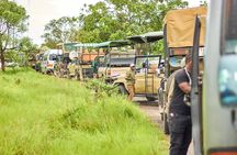 2 Days Private Safari Tour of Mikumi