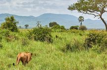 2 Days Private Safari Tour of Mikumi