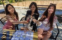 Kefalonia: Private Olive Oil, Honey & Wine Tasting Experience 