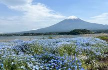 Full Day Private Tour to Mount Fuji and Hakone