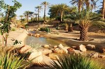 2 Days and 1 Night Excursion to Ksar Ghilane Under the Tent