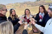Local wines and traditional balsamic experience