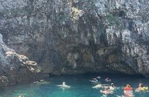 Blue and Green Cave Tour from Dubrovnik,private speed boats