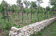 Gelati, Prometheus, Sanatoriums and Wine tour