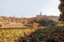 Siena Highlights Private Walking Tour With A Guide (Private Tour)