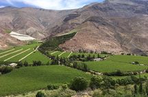 Elqui Valley: Cruise Excursion in Coquimbo 