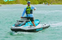 Dolphin Watching Jet Ski Tour