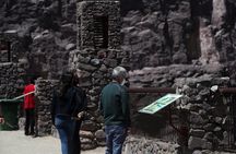 Elqui Valley: Cruise Excursion in Coquimbo 