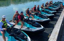 Dolphin Watching Jet Ski Tour