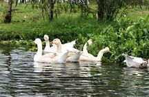 Xochimilco Day Trip Know a Farmland Food and Hop on a Trajinera