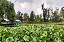 Xochimilco Day Trip Know a Farmland Food and Hop on a Trajinera