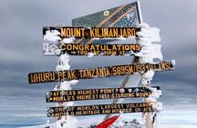 Kilimanjaro 8 days Lemosho Route