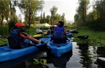 Xochimilco Day Trip Know a Farmland Food and Hop on a Trajinera