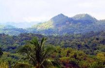 Bob Marley Nine Mile Home Private Tour from Montego Bay
