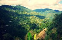 Bob Marley Nine Mile Home Private Tour from Montego Bay