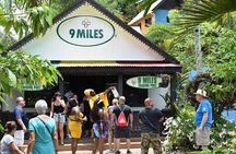Bob Marley Nine Mile Home Private Tour from Montego Bay