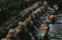 Full Day Kintamani Volcano View and Batur Natural Hot Spring