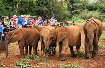 Elephant Orphanage, Giraffe Centre& optional Nairobi NationalPark