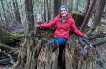 Whistler: Coastal Rainforest Walk