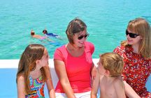 Key West Dolphin Watch and Snorkel Tour - Eco Adventure