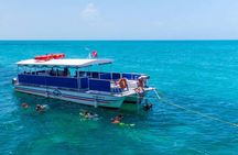 Key West Dolphin Watch and Snorkel Tour - Eco Adventure