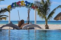 Tour to Celestún with View of Flamencos and Beach Club