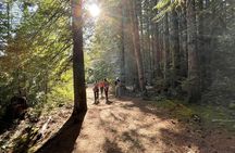 Full-Day Tour, Waterfalls, Caves, Old Growth on Vancouver Island
