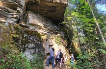 Full-Day Tour, Waterfalls, Caves, Old Growth on Vancouver Island